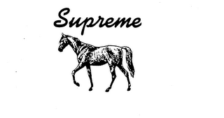 SUPREME logo