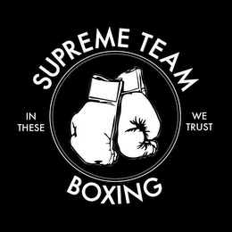SUPREME TEAM BOXING IN THESE WE TRUST logo