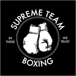 SUPREME TEAM BOXING IN THESE WE TRUST logo