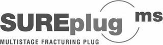 SUREPLUG MS MULTISTAGE FRACTURING PLUG logo