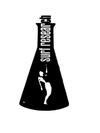 SURF RESEARCH logo