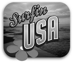 SURFIN' USA logo