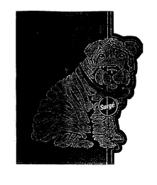 SURGE logo