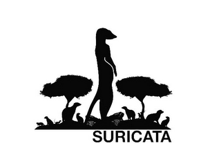 SURICATA logo