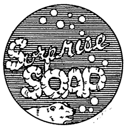 SURPRISE SOAP logo