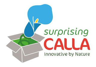 SURPRISING CALLA INNOVATIVE BY NATURE logo