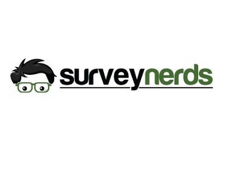 SURVEYNERDS logo