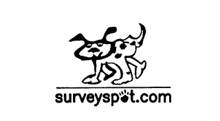 SURVEYSPOT.COM logo
