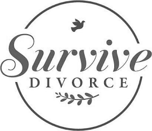 SURVIVE DIVORCE logo