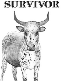 SURVIVOR logo