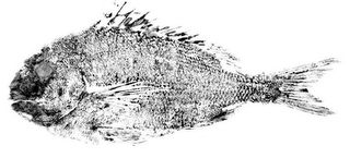 SUSHI YASUDA logo