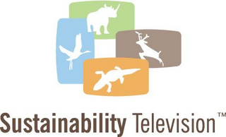 SUSTAINABILITY TELEVISION logo