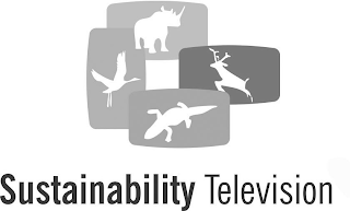 SUSTAINABILITY TELEVISION logo