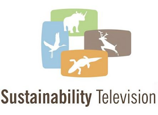 SUSTAINABILITY TELEVISION logo