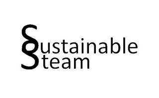 SUSTAINABLE STEAM logo