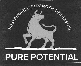SUSTAINABLE STRENGTH UNLEASHED PURE POTENTIAL logo