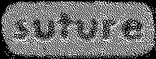 SUTURE logo