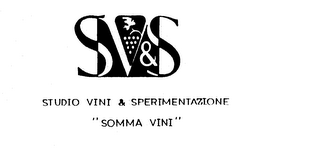 SV&S STUDIO VINI & SPERIMENTAZIONE "SOMMA VINI" logo