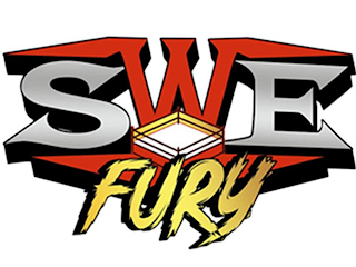 SWE FURY logo