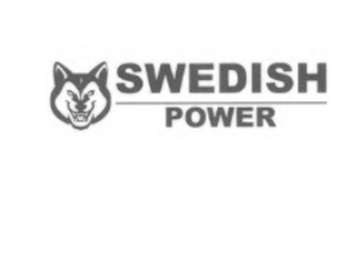 SWEDISH POWER logo