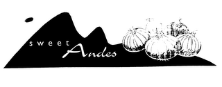 SWEET ANDES logo