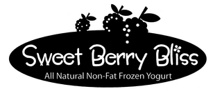 SWEET BERRY BLISS ALL NATURAL NON-FAT FROZEN YOGURT logo