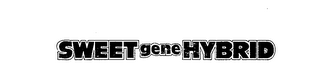 SWEET GENE HYBRID