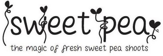 SWEET PEA THE MAGIC OF FRESH SWEET PEA SHOOTS logo