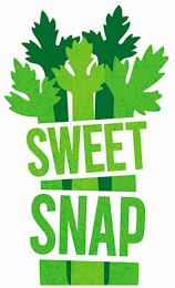 SWEET SNAP logo