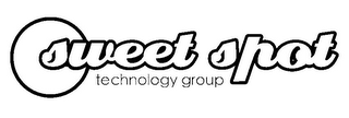 SWEET SPOT TECHNOLOGY GROUP logo