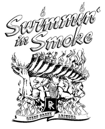 SWIMMIN' IN SMOKE PK QUEEN CREEK ARIZONA logo
