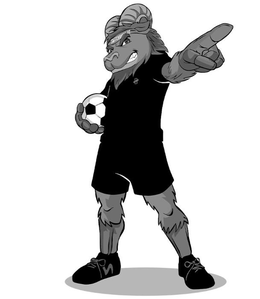 SWITCHBACKS FC logo