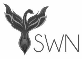 SWN logo