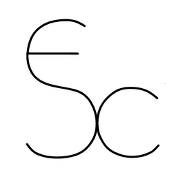 SX logo