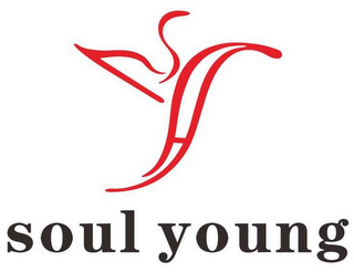 SY SOUL YOUNG logo