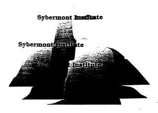 SYBERMONT INSTITUTE logo