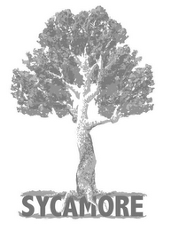 SYCAMORE logo