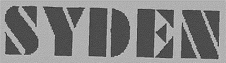 SYDEN logo