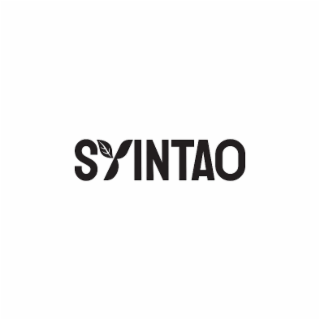 SYINTAO logo