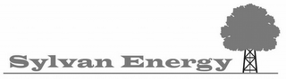 SYLVAN ENERGY logo