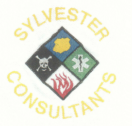 SYLVESTER CONSULTANTS logo