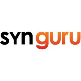 SYN GURU logo