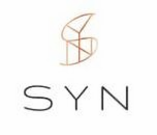 SYN SYN logo