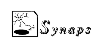 SYNAPS logo