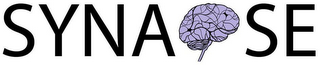 SYNAPSE