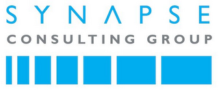 SYNAPSE CONSULTING GROUP logo