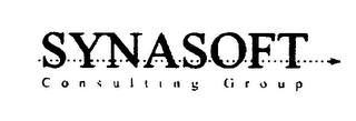 SYNASOFT CONSULTING GROUP logo