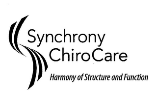 SYNCHRONY CHIROCARE HARMONY OF STRUCTURE AND FUNCTION logo
