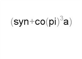 (SYN+CO(PI)³A) logo