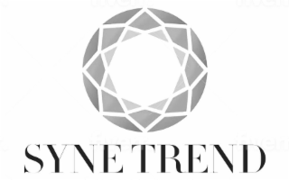 SYNE TREND logo